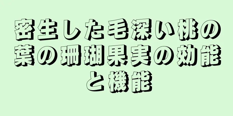 密生した毛深い桃の葉の珊瑚果実の効能と機能