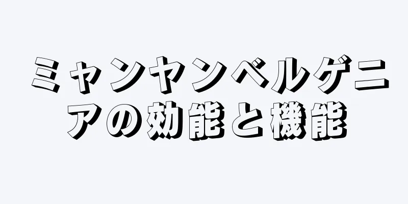 ミャンヤンベルゲニアの効能と機能