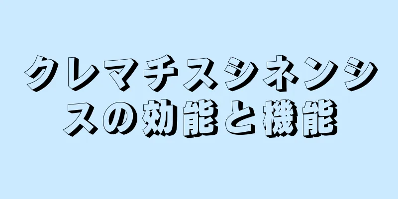 クレマチスシネンシスの効能と機能