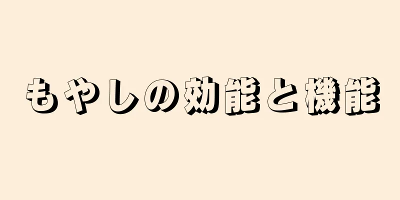 もやしの効能と機能