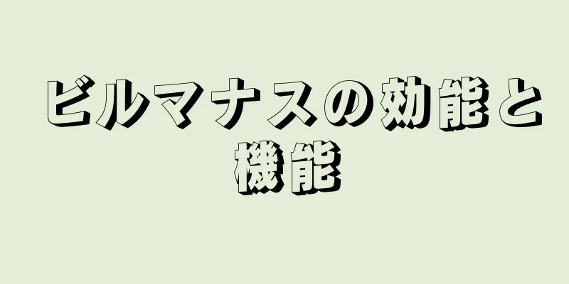 ビルマナスの効能と機能