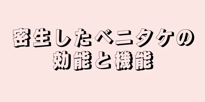 密生したベニタケの効能と機能