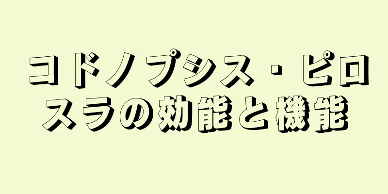コドノプシス・ピロスラの効能と機能