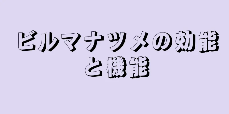 ビルマナツメの効能と機能