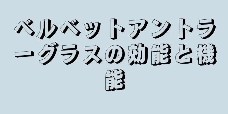 ベルベットアントラーグラスの効能と機能