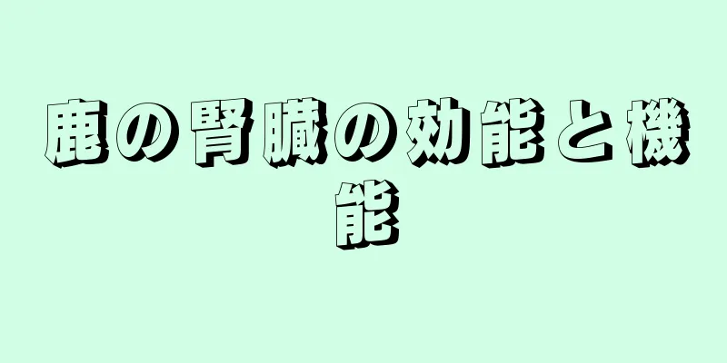 鹿の腎臓の効能と機能