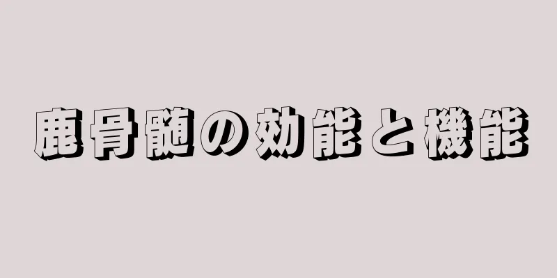 鹿骨髄の効能と機能