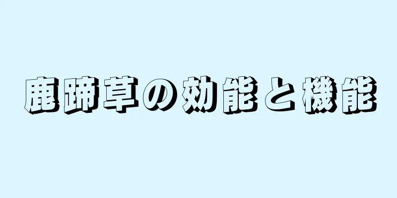 鹿蹄草の効能と機能