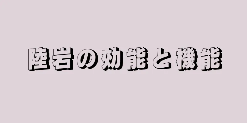 陸岩の効能と機能