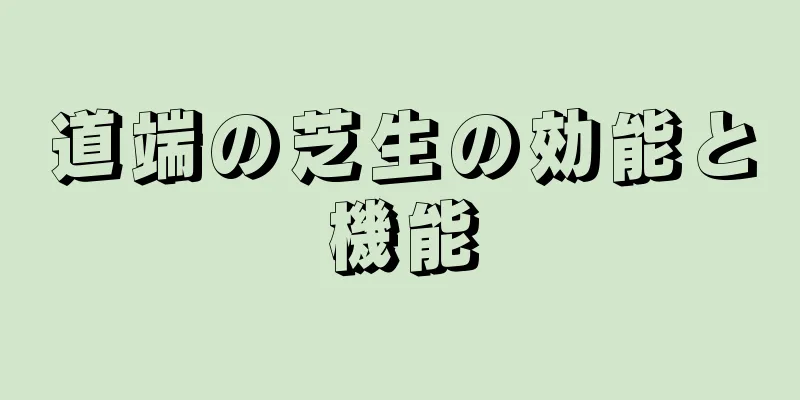 道端の芝生の効能と機能