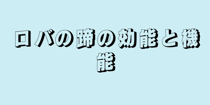 ロバの蹄の効能と機能