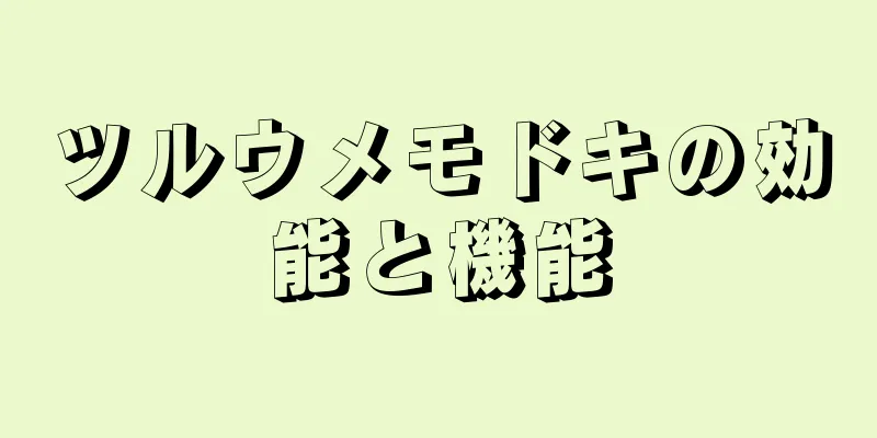 ツルウメモドキの効能と機能