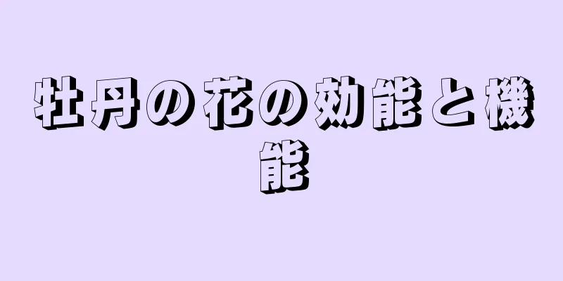 牡丹の花の効能と機能