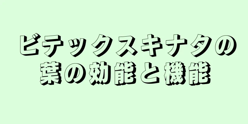 ビテックスキナタの葉の効能と機能