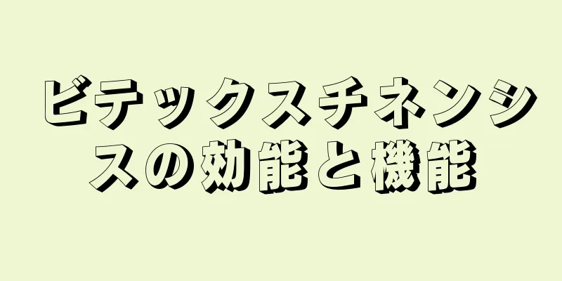ビテックスチネンシスの効能と機能