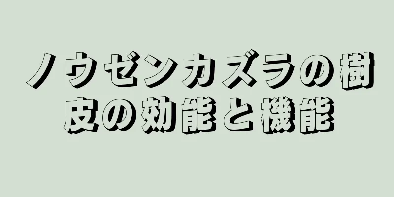 ノウゼンカズラの樹皮の効能と機能