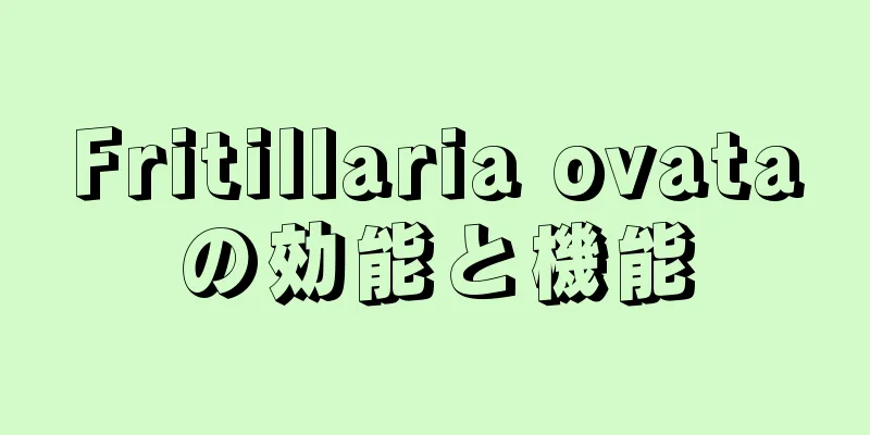 Fritillaria ovataの効能と機能