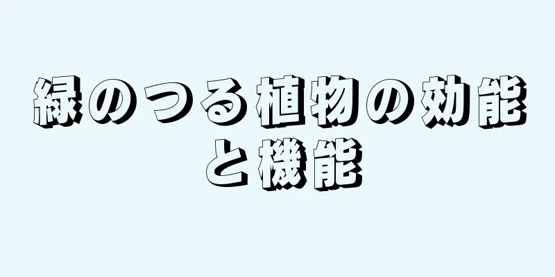 緑のつる植物の効能と機能
