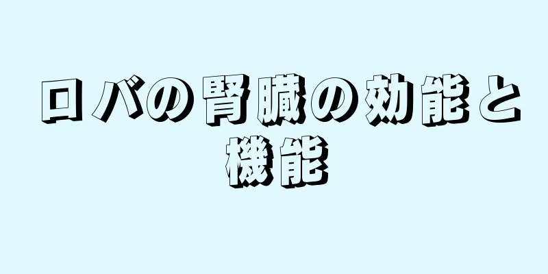 ロバの腎臓の効能と機能