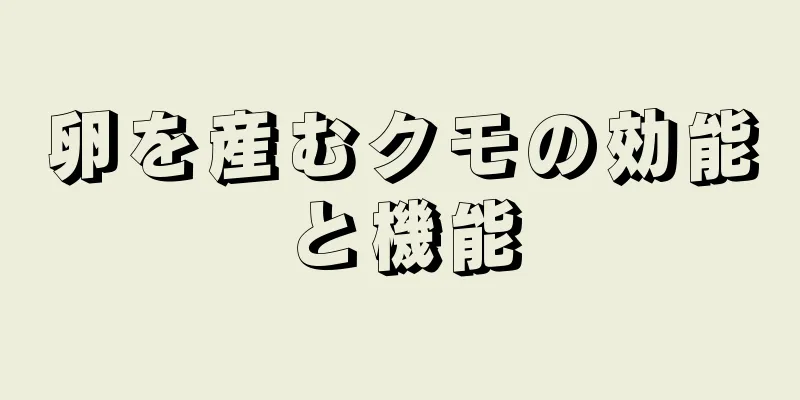 卵を産むクモの効能と機能