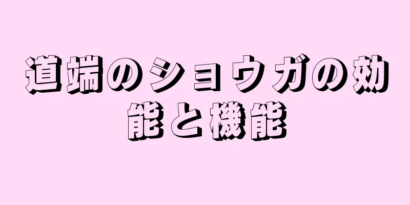 道端のショウガの効能と機能