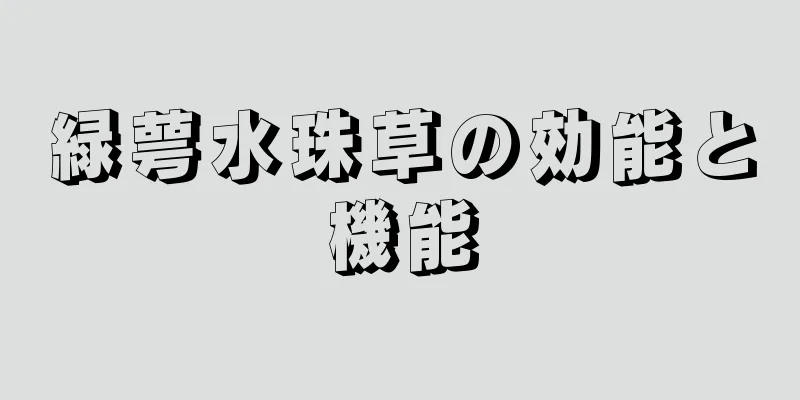 緑萼水珠草の効能と機能