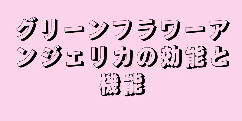 グリーンフラワーアンジェリカの効能と機能