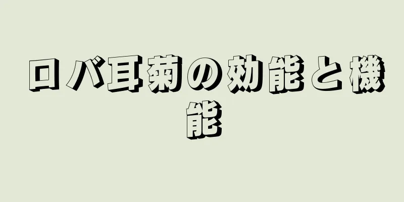 ロバ耳菊の効能と機能