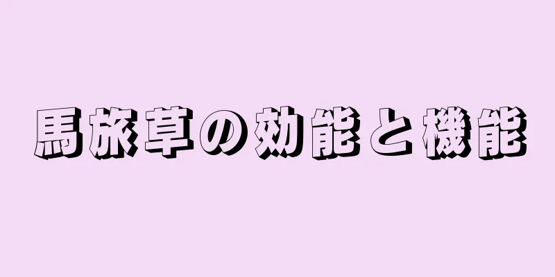 馬旅草の効能と機能