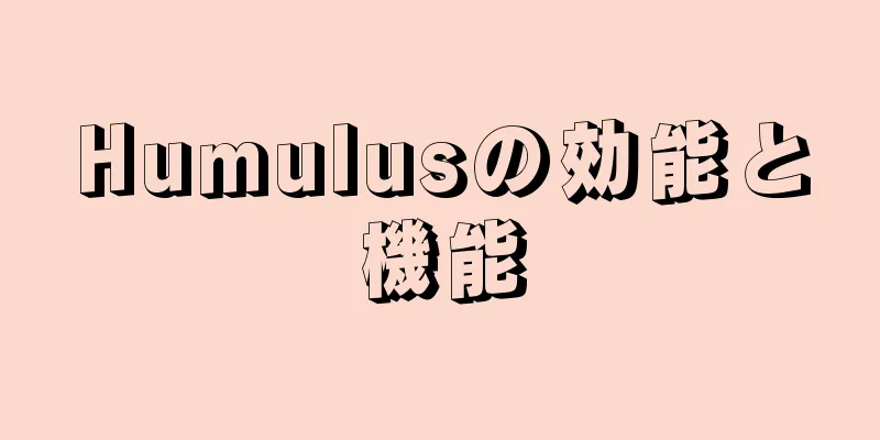 Humulusの効能と機能