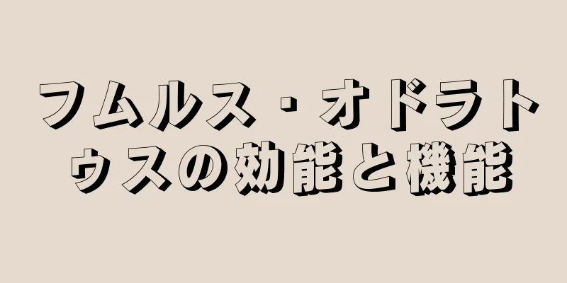 フムルス・オドラトゥスの効能と機能
