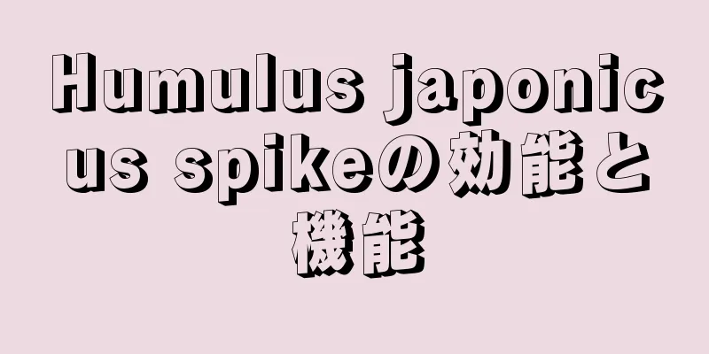 Humulus japonicus spikeの効能と機能