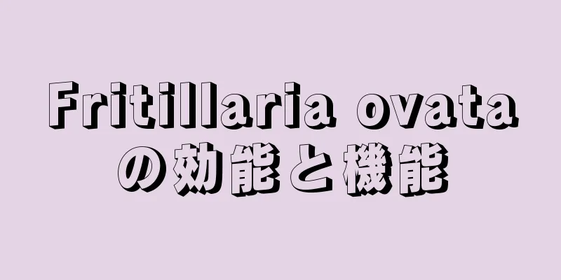 Fritillaria ovataの効能と機能