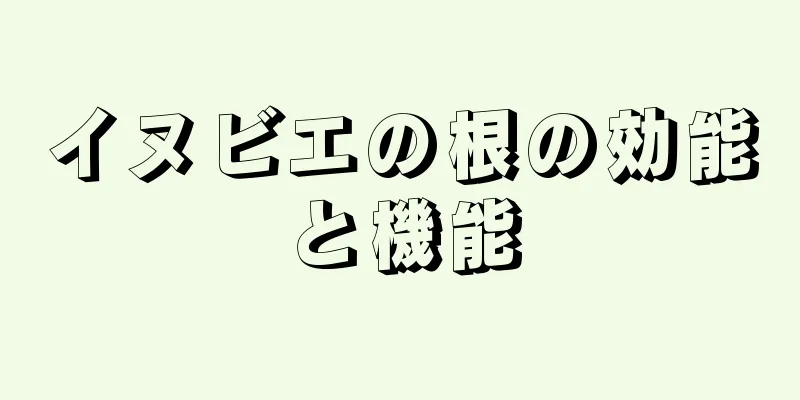 イヌビエの根の効能と機能