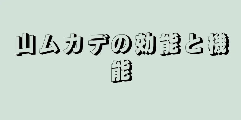 山ムカデの効能と機能