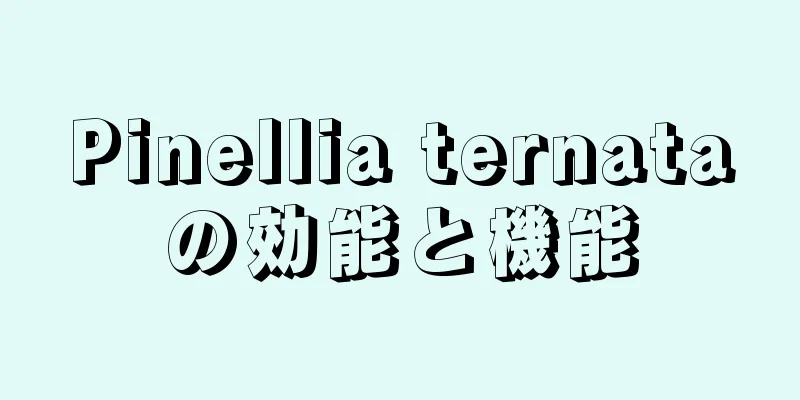 Pinellia ternataの効能と機能