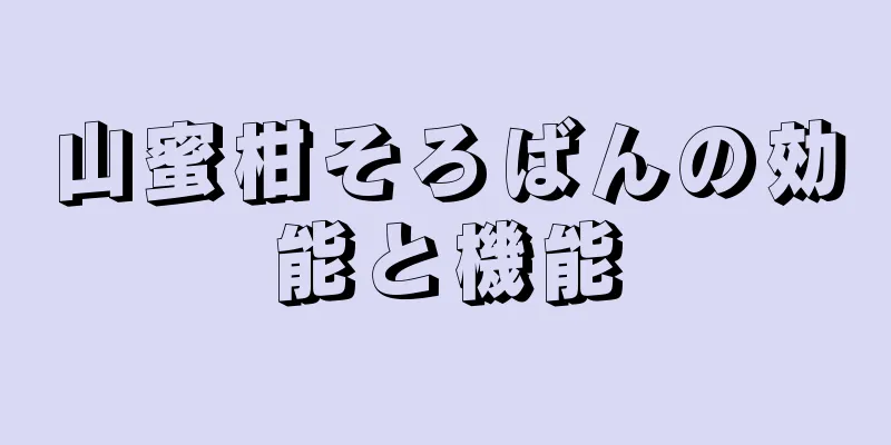 山蜜柑そろばんの効能と機能