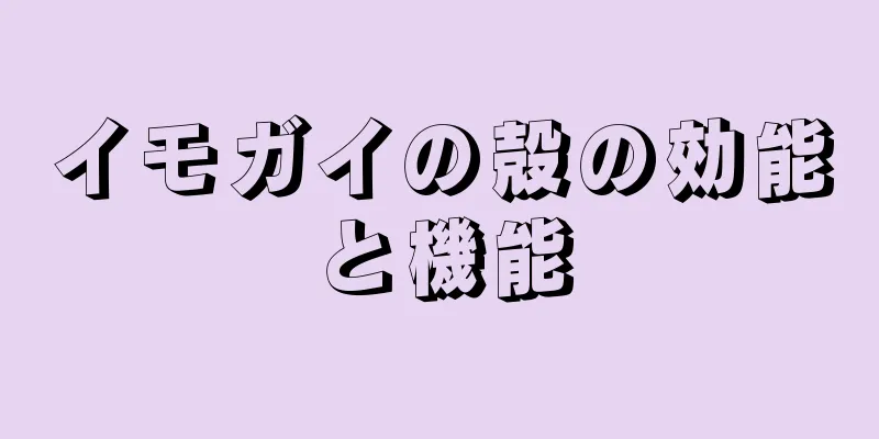 イモガイの殻の効能と機能