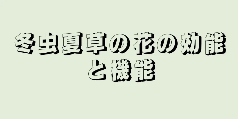 冬虫夏草の花の効能と機能