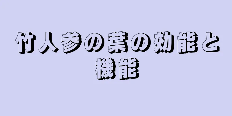 竹人参の葉の効能と機能