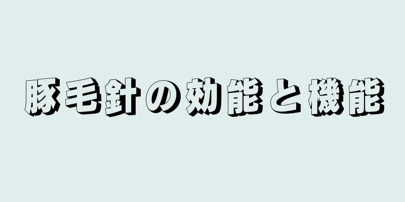 豚毛針の効能と機能