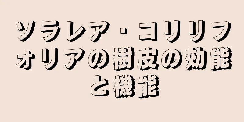 ソラレア・コリリフォリアの樹皮の効能と機能