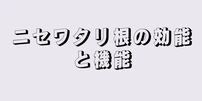 ニセワタリ根の効能と機能