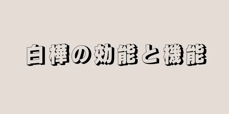 白樺の効能と機能