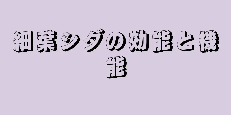 細葉シダの効能と機能