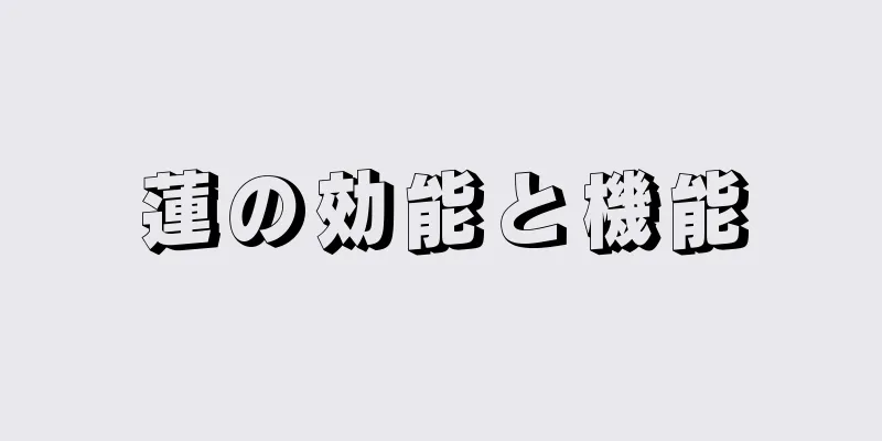 蓮の効能と機能