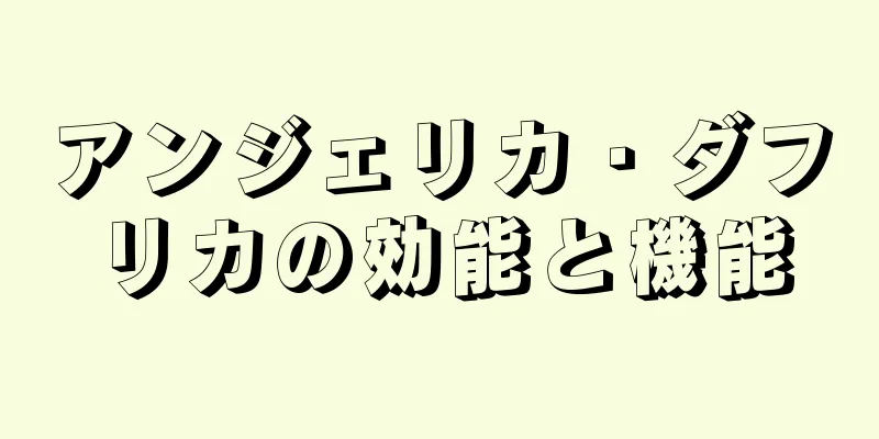 アンジェリカ・ダフリカの効能と機能