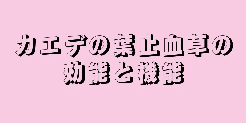 カエデの葉止血草の効能と機能