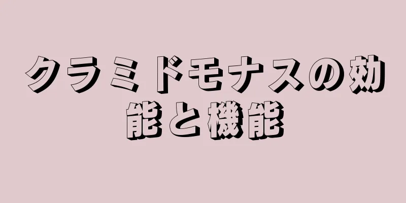 クラミドモナスの効能と機能