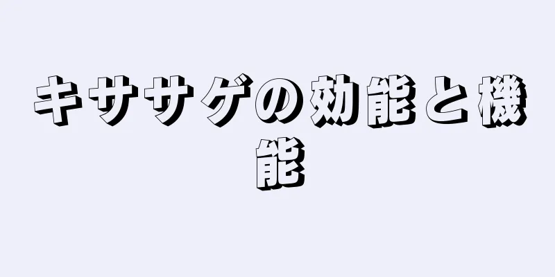 キササゲの効能と機能